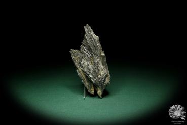 Disthen XX (15093) ein Mineral aus Südamerika | Mineralien | Weltweit