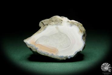 Agate (15111) a mineral from Czech Republic | Minerals | Global