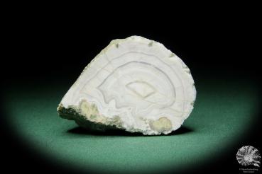 Achat (15131) ein Mineral aus Tschechien | Mineralien | Weltweit