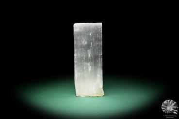 Selenite (15391) a mineral from Morocco | Minerals | Global