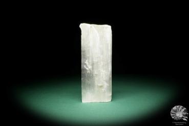 Selenite (15393) a mineral from Morocco | Minerals | Global