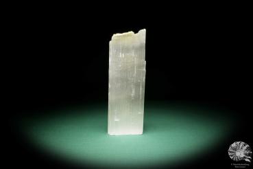 Selenite (15396) a mineral from Morocco | Minerals | Global