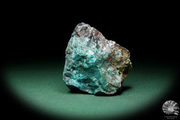 Chrysokoll (15561) ein Mineral aus Südperu | Mineralien | Weltweit