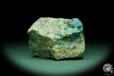 Chrysokoll (15562) ein Mineral aus Südperu | Mineralien | Weltweit