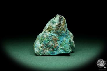 Chrysokoll (15563) ein Mineral aus Südperu | Mineralien | Weltweit