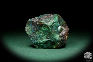 Chrysokoll (15567) ein Mineral aus Südperu | Mineralien | Weltweit