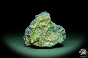 Chrysokoll (15568) ein Mineral aus Südperu | Mineralien | Weltweit