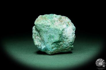 Chrysokoll (15569) ein Mineral aus Südperu | Mineralien | Weltweit