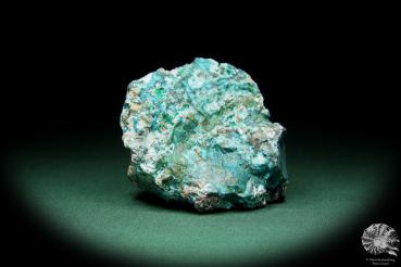 Chrysokoll (15571) ein Mineral aus Südperu | Mineralien | Weltweit