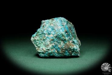 Chrysokoll (15573) ein Mineral aus Südperu | Mineralien | Weltweit