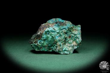 Chrysokoll (15577) ein Mineral aus Südperu | Mineralien | Weltweit