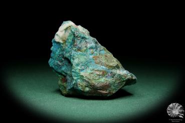 Chrysokoll (15580) ein Mineral aus Südperu | Mineralien | Weltweit