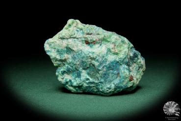 Chrysokoll (15582) ein Mineral aus Südperu | Mineralien | Weltweit