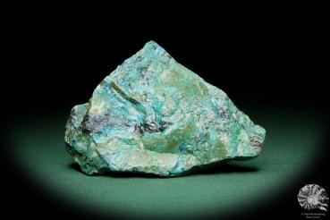 Chrysokoll (15583) ein Mineral aus Südperu | Mineralien | Weltweit