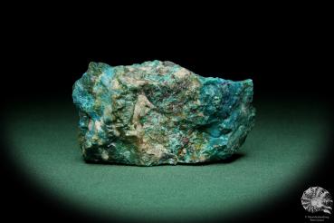 Chrysokoll (15584) ein Mineral aus Südperu | Mineralien | Weltweit