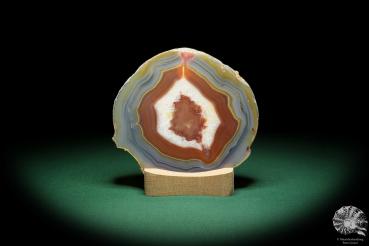 Agate Slice (16361) a mineral from South America | Crafts | From Minerals