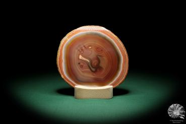 Agate Slice (16365) a mineral from South America | Crafts | From Minerals