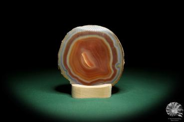 Agate Slice (16370) a mineral from South America | Crafts | From Minerals