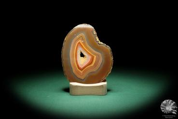 Agate Slice (16372) a mineral from South America | Crafts | From Minerals