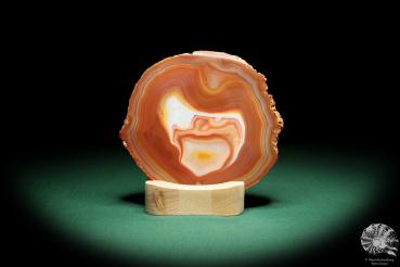 Agate Slice (16376) a mineral from South America | Crafts | From Minerals