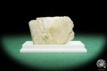 Mg-Axinit X (16850) ein Mineral aus Tansania | Mineralien | Weltweit