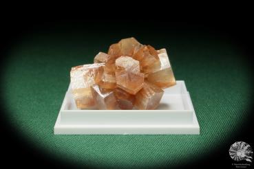 Aragonite XX (17998) a thumbnail from see pictures | Minerals | Thumbnails