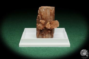 Aragonite XX (18011) a thumbnail from see pictures | Minerals | Thumbnails