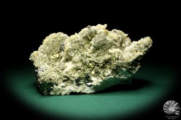 Pyrite & Calcite XX (19654) a mineral from Romania | Minerals | Global