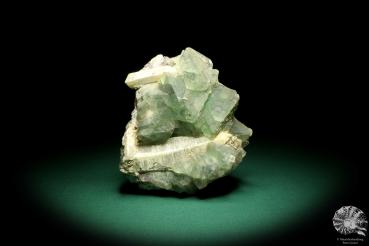 Fluorite XX on Quartz XX (19656) a mineral from Kazakhstan | Minerals | Global