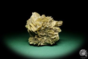 Gypsum XX (19676) a mineral from Germany | Minerals | From Germany