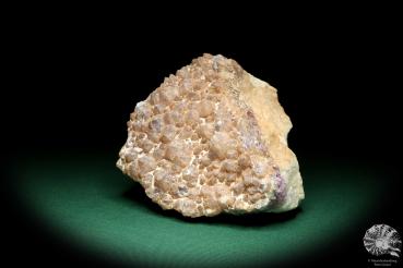 Amethyst XX (19680) ein Mineral aus Deutschland | Mineralien | aus Deutschland