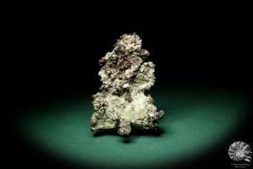 Gediegenes Kupfer (19896) ein Mineral aus Mexiko | Mineralien | Weltweit