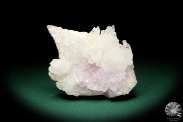 Amethyst (19897) ein Mineral aus Brasilien | Mineralien | Weltweit