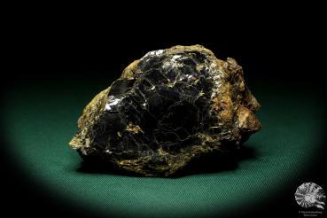 Biotite with Zircon XX (19904) a mineral from Russia | Minerals | Global