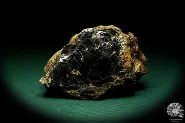 Biotit mit Zirkon XX ein Mineral