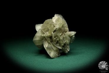 Gypsum XX (19910) a mineral from Germany | Minerals | From Germany