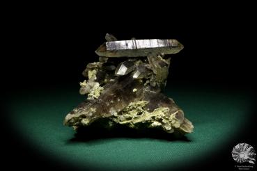 Smoky Quartz XX (19911) a mineral from Kazakhstan | Minerals | Global