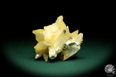 Gypsum XX (19914) a mineral from Romania | Minerals | From Germany