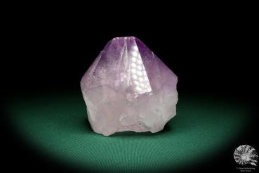 Amethyste XX (19920) a mineral from Brazil | Minerals | Global