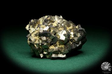 Arsenopyrite XX & Sphalerite XX (19937) a mineral from Russia | Minerals | Global