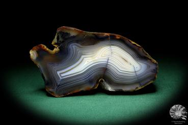 Agate (19958) a mineral from Madagascar | Minerals | Global