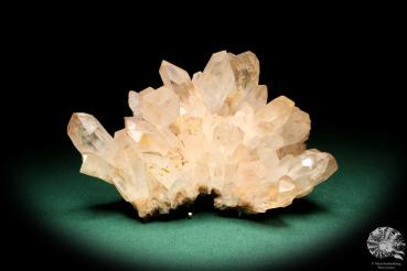 Rock Crystal (19962) a mineral from Madagascar | Minerals | Global