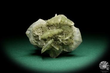 Gypsum XX (19972) a mineral from Germany | Minerals | From Germany