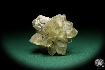 Gypsum XX (19973) a mineral from Germany | Minerals | From Germany