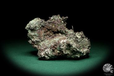 Gediegenes Kupfer (19976) ein Mineral aus Russland | Mineralien | Weltweit