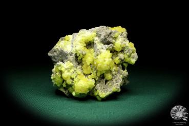 Sulfur XX (19980) a mineral from Poland | Minerals | Global