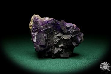 Fluorite XX (19984) a mineral from Mexico | Minerals | Global