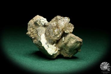 Hyalite (19998) a mineral from Czech Republic | Minerals | Global