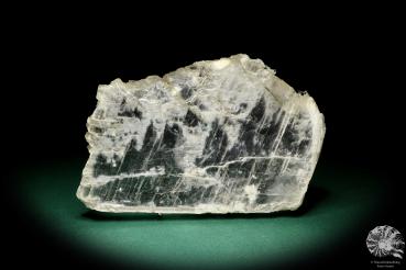 Gypsum XX a mineral