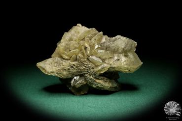 Gypsum XX (20011) a mineral from Germany | Minerals | From Germany